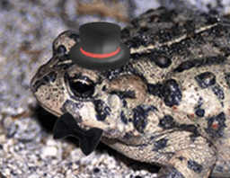 The OneFrogAHour Mascot, Bob